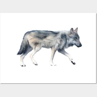 Wolf Posters and Art
